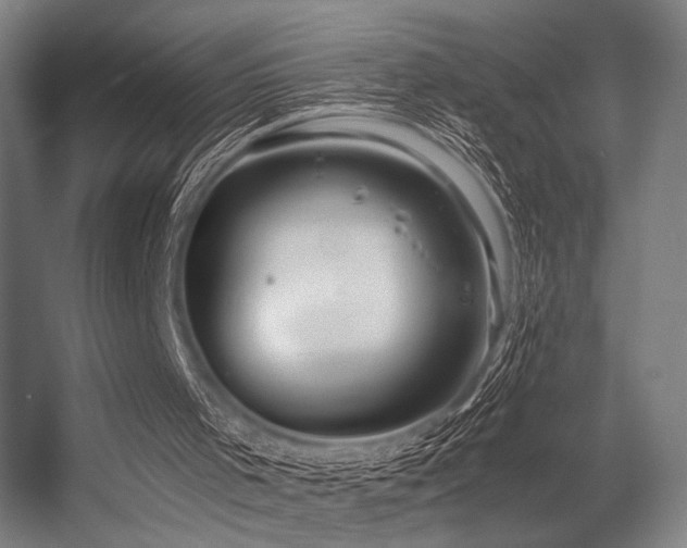 X0000056340001200508291328