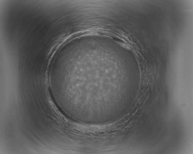 X0000056340002200508291328