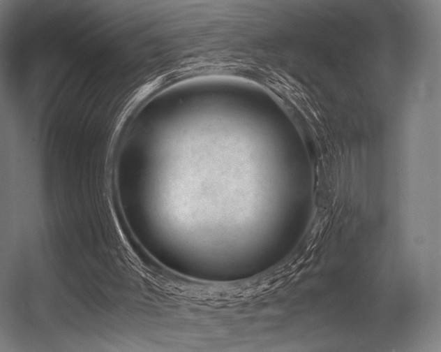 X0000056340003200508291328