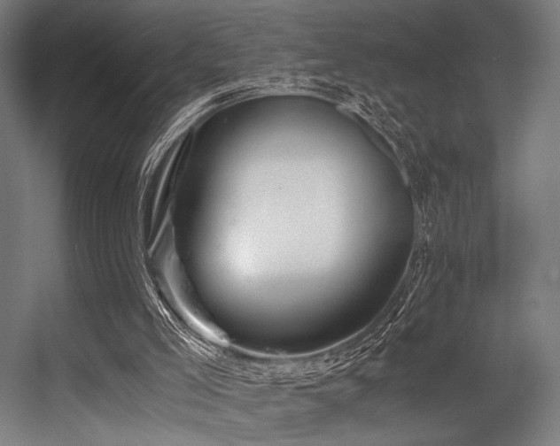X0000056340005200508291328