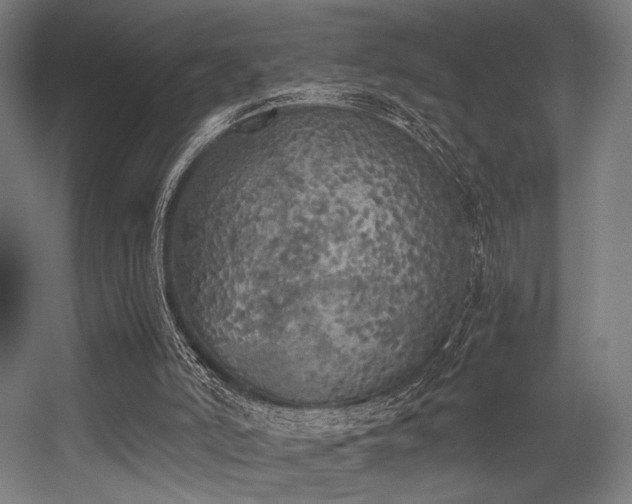 X0000056340006200508291328