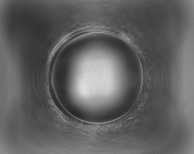 X0000056340007200508291328