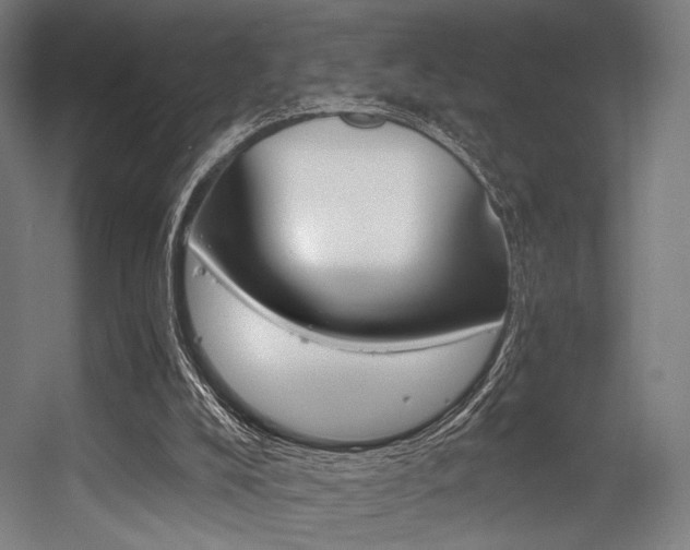 X0000056340008200508291328