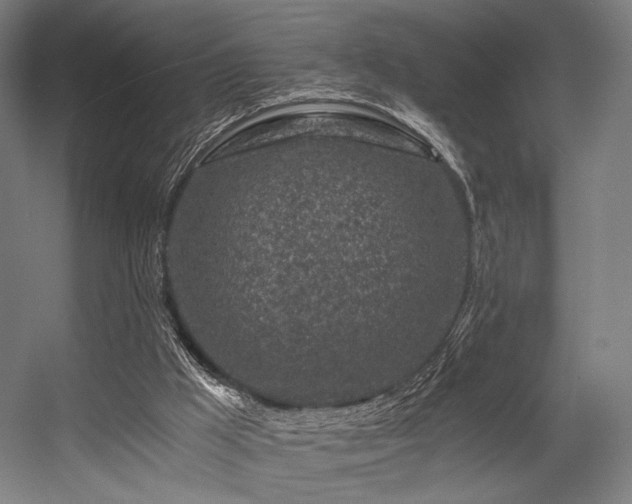 X0000056340009200508291328