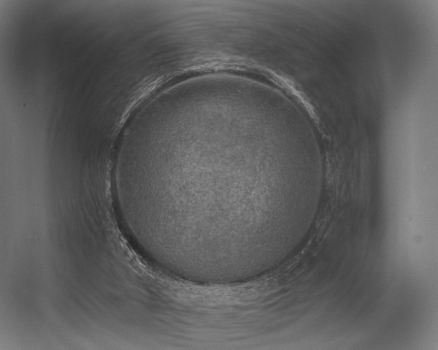X0000056340010200508291328