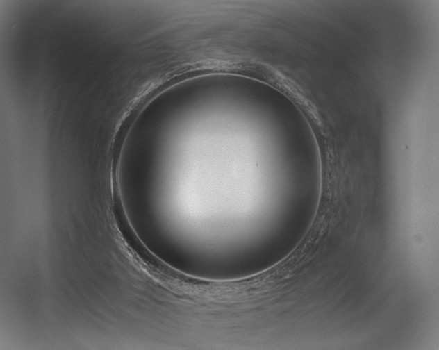 X0000056340011200508291327