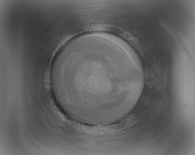 X0000056340012200508291327