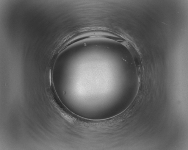 X0000056340013200508291327