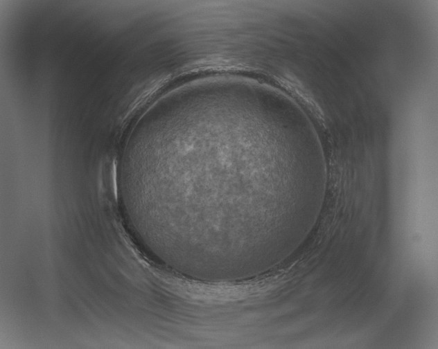 X0000056340014200508291327