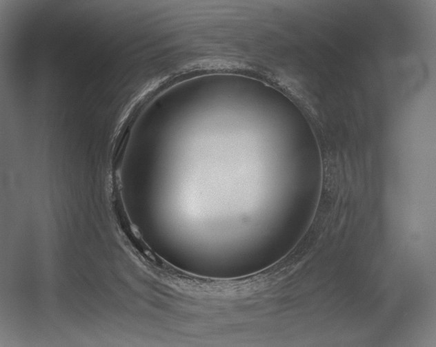 X0000056340015200508291327
