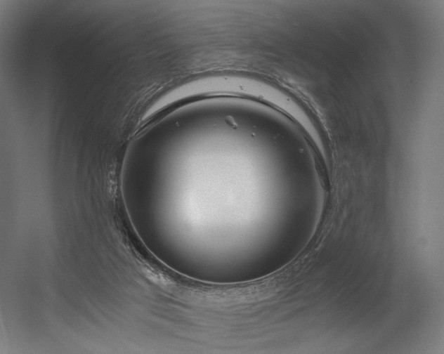 X0000056340017200508291327