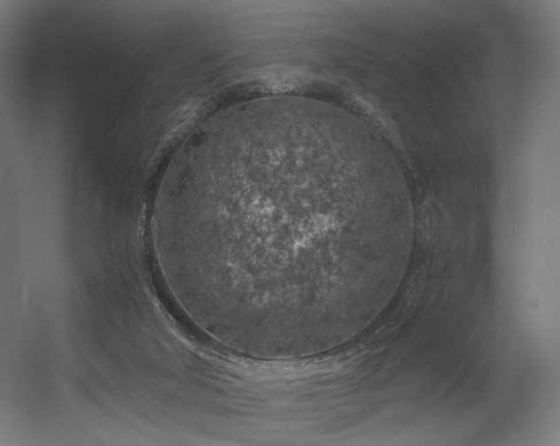 X0000056340018200508291327