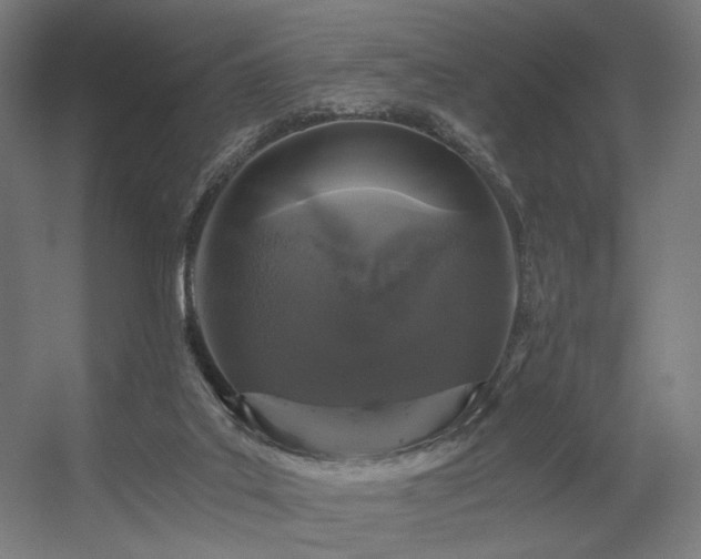 X0000056340019200508291327