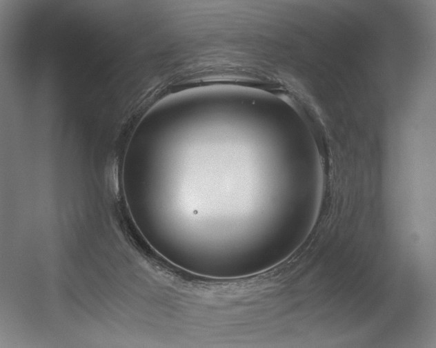 X0000056340021200508291327