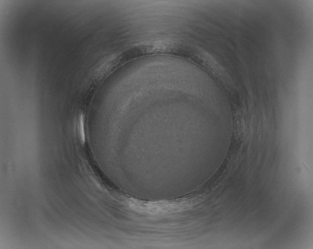 X0000056340022200508291327