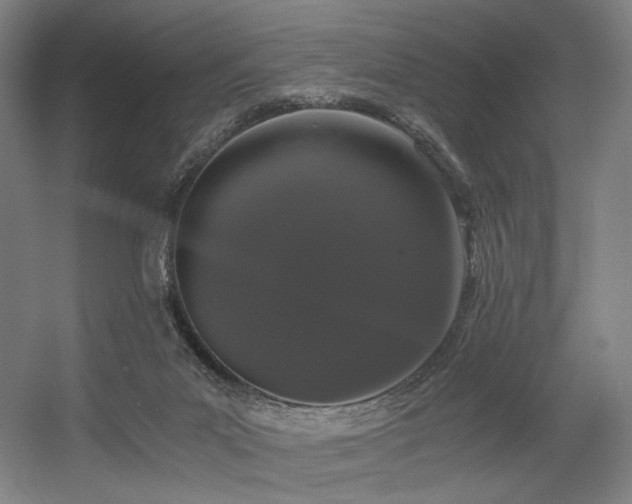 X0000056340023200508291327