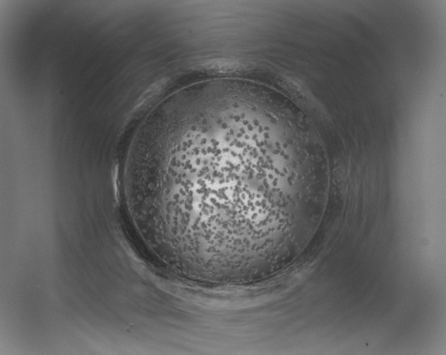 X0000056340024200508291327