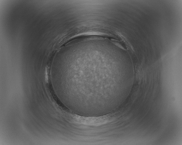 X0000056340026200508291327
