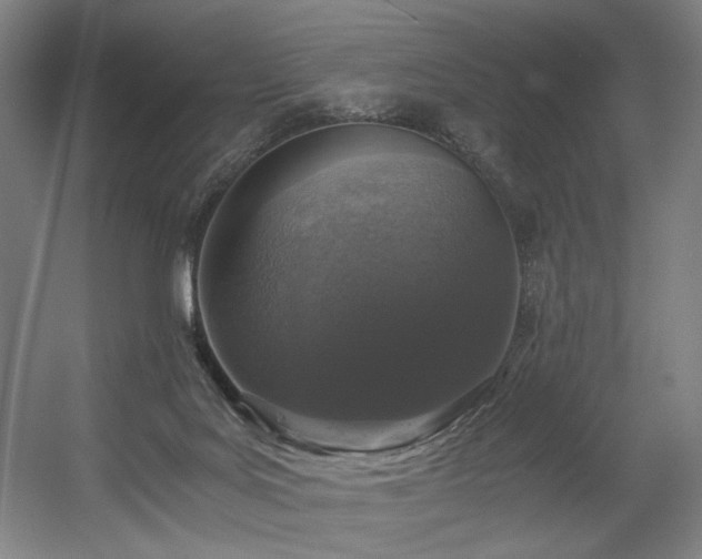 X0000056340027200508291327