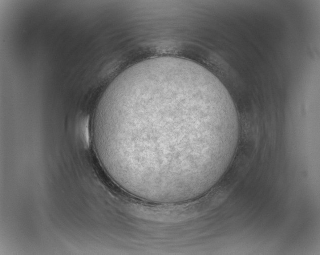 X0000056340028200508291327