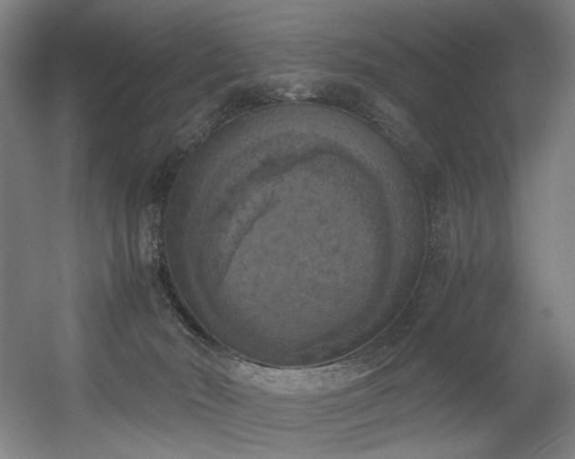 X0000056340030200508291327