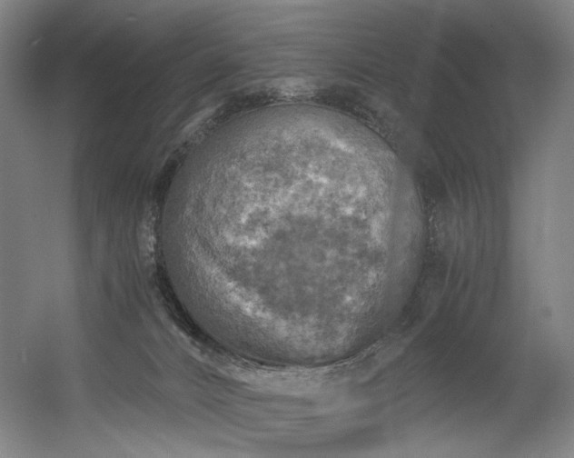 X0000056340032200508291327