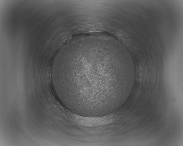 X0000056340034200508291327