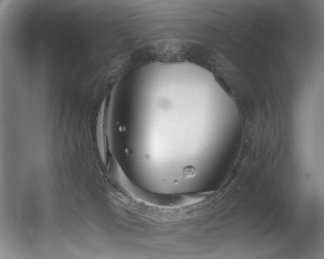 X0000056340037200508291327