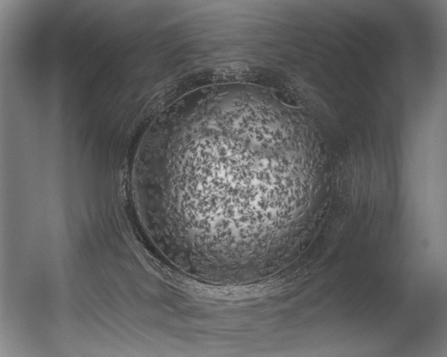 X0000056340038200508291327