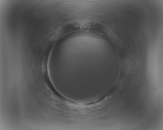 X0000056340039200508291327