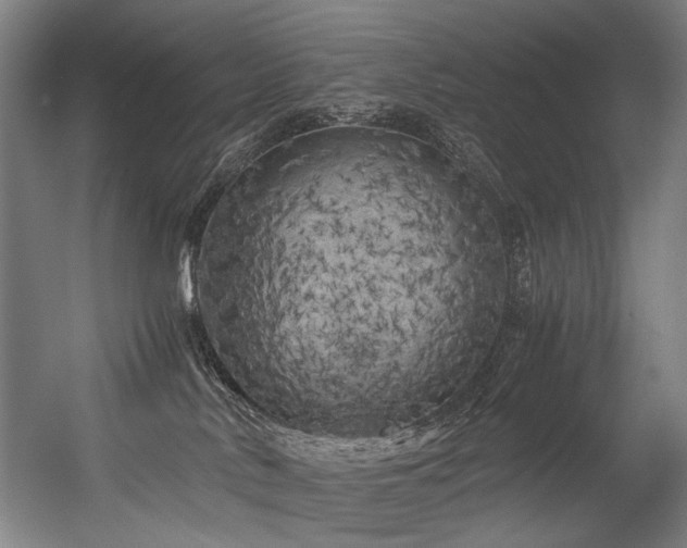 X0000056340042200508291327