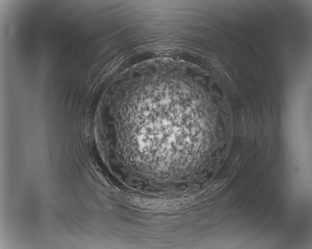 X0000056340044200508291327