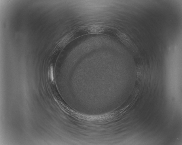 X0000056340046200508291327