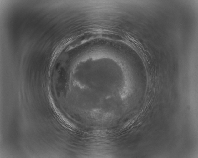 X0000056340049200508291326