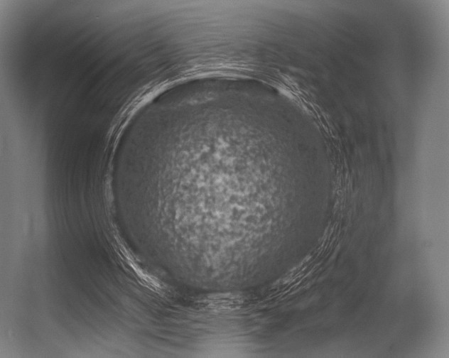 X0000056340050200508291326