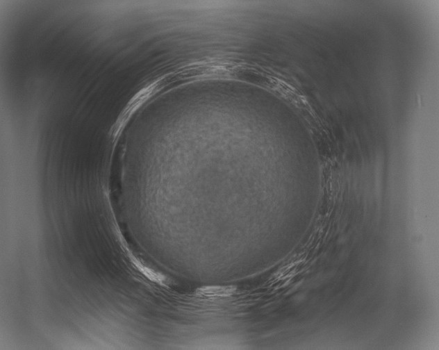 X0000056340051200508291326