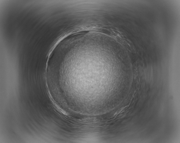 X0000056340052200508291326