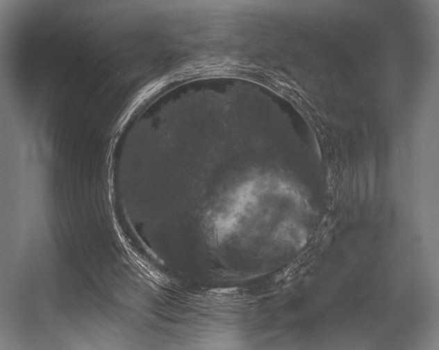 X0000056340054200508291326
