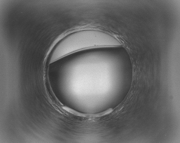 X0000056340056200508291326