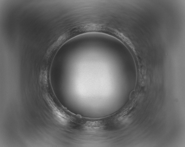 X0000056340057200508291326