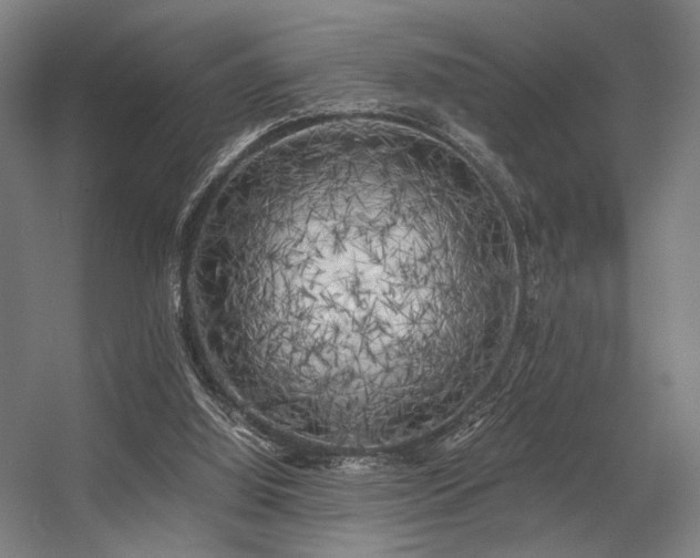X0000056340060200508291326