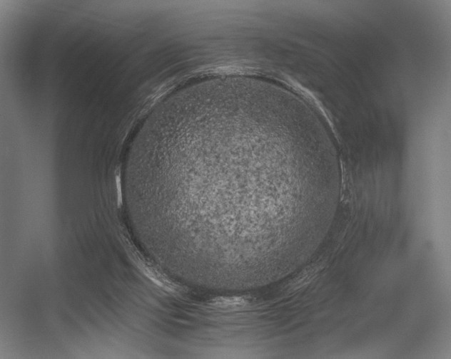 X0000056340061200508291326