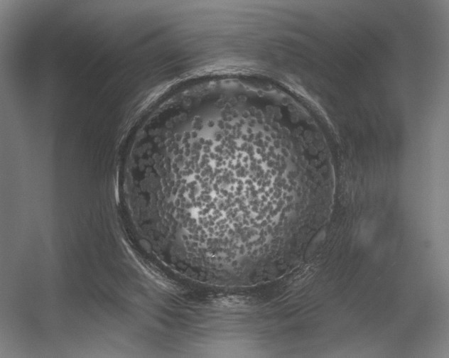 X0000056340062200508291326
