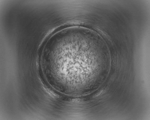 X0000056340064200508291326