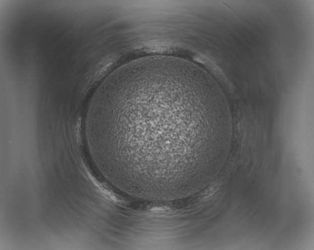 X0000056340066200508291326