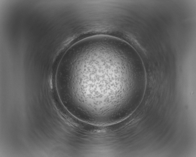 X0000056340068200508291326