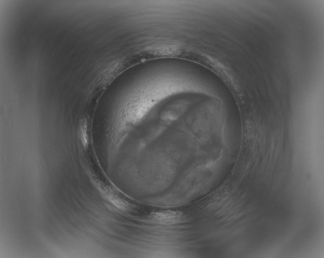 X0000056340069200508291326