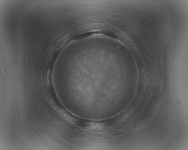 X0000056340073200508291326