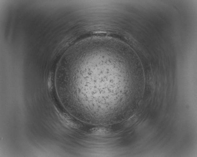 X0000056340074200508291326
