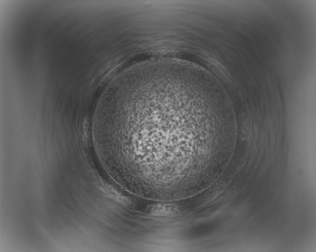 X0000056340077200508291327